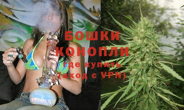 спиды Пестово