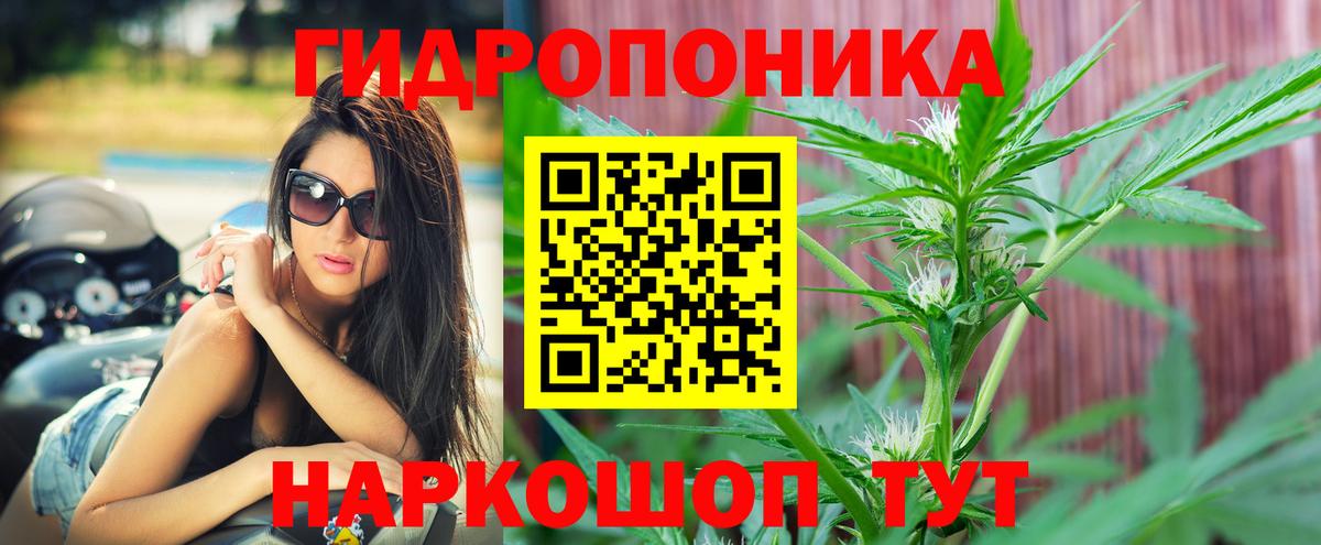 Торжок  Шишки марихуана гибрид  Шишки марихуана марихуана  Вход с VPN 